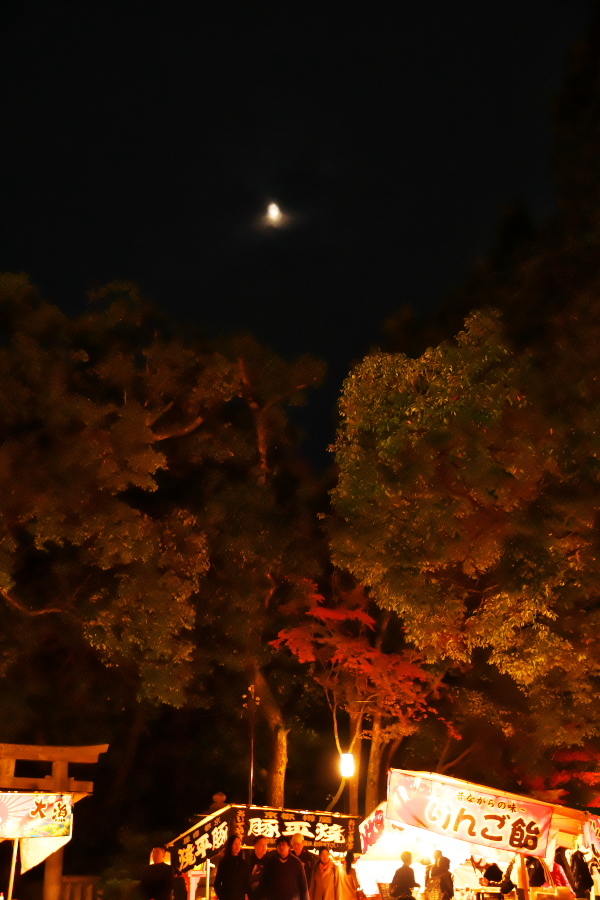 夜の京都　八坂神社から祇園を通って木屋町まで_a0263109_19563467.jpg