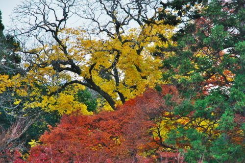 a0263109_20200503.jpg