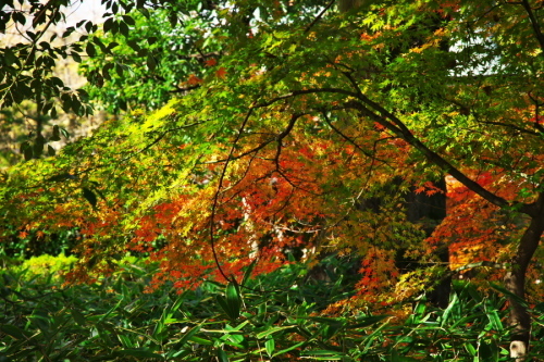 a0263109_21302458.jpg