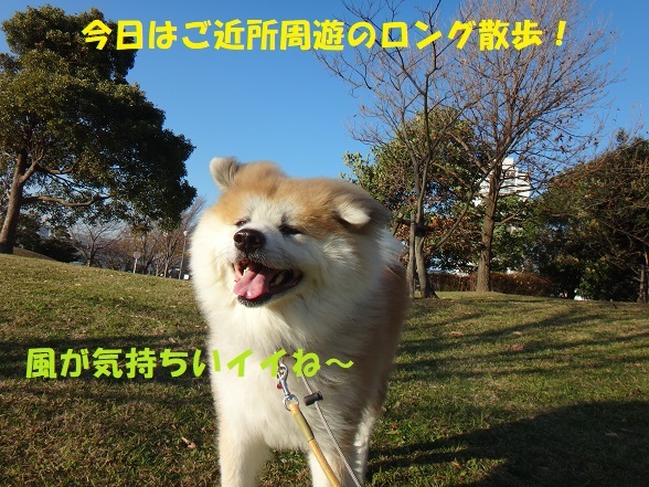 f0121712_08440369.jpg