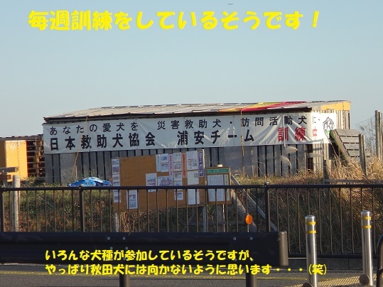 f0121712_09104301.jpg