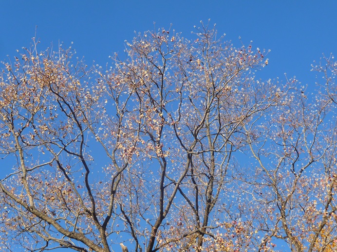 c0202113_1535195.jpg