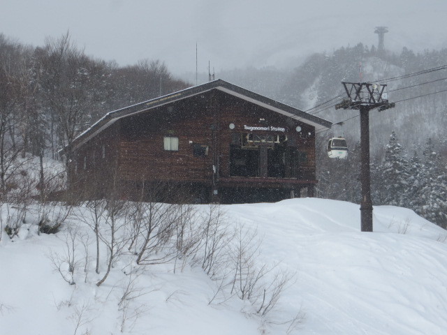 d0351213_06242671.jpg