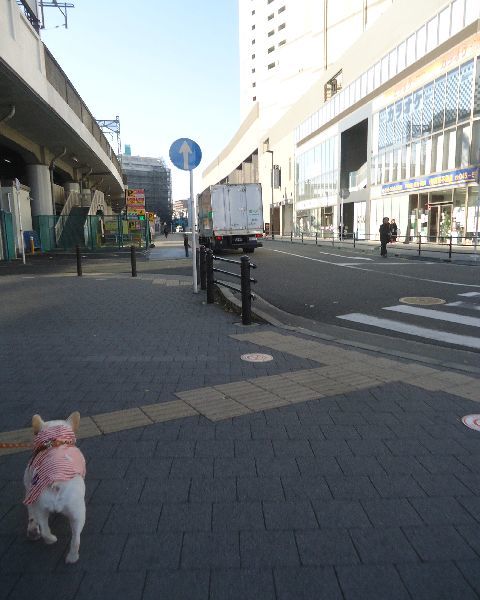   12月3日(日曜日）  駅前から河沿い方面へと。_b0248920_02571420.jpg