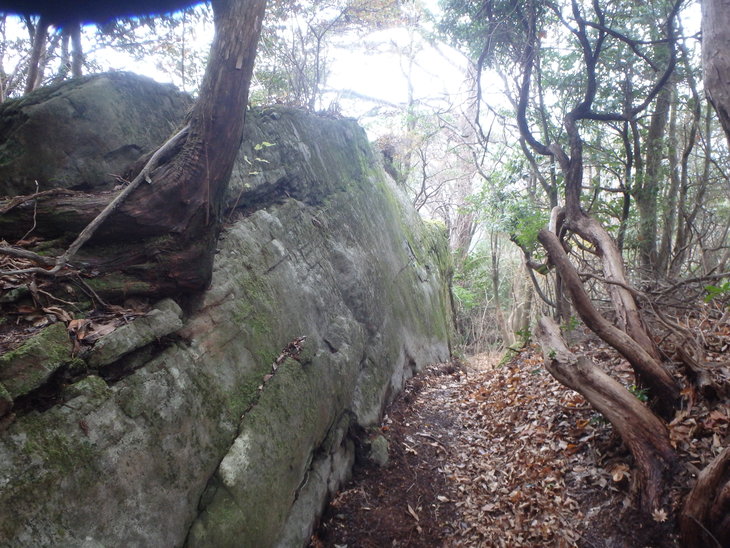 f0193521_12134747.jpg