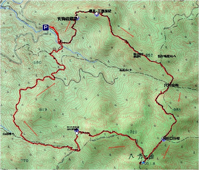 f0193521_533170.jpg