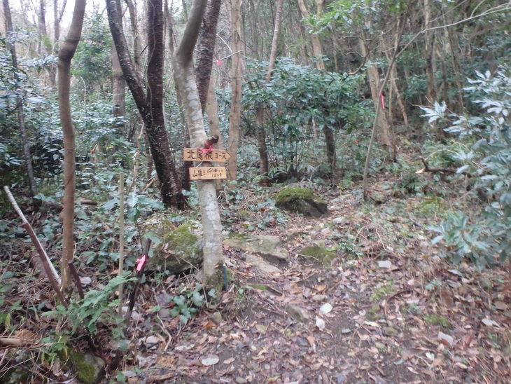 f0193521_7571058.jpg