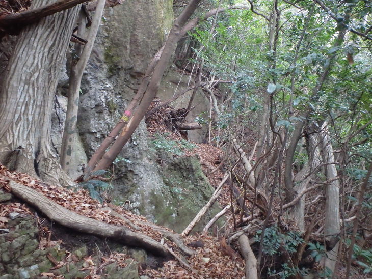 f0193521_811465.jpg