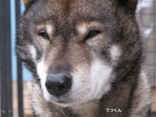 f0143123_09284775.jpg