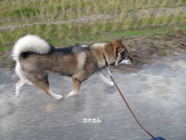 f0143123_09325838.jpg