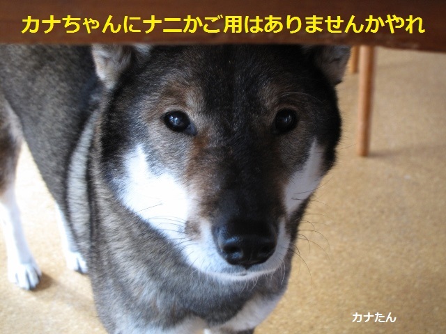 f0143123_09454299.jpg