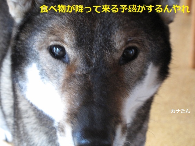 f0143123_09470831.jpg