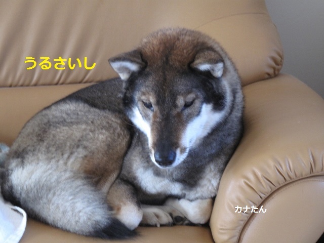 f0143123_09483195.jpg