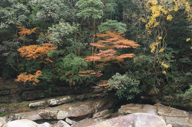 e0321325_15092165.jpg
