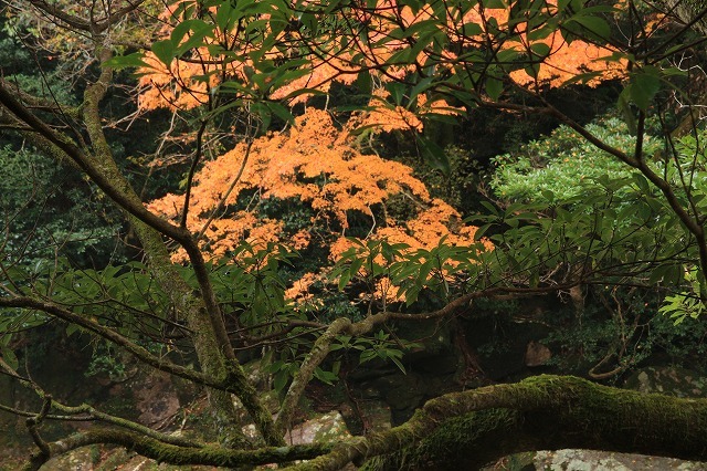 e0321325_15104773.jpg