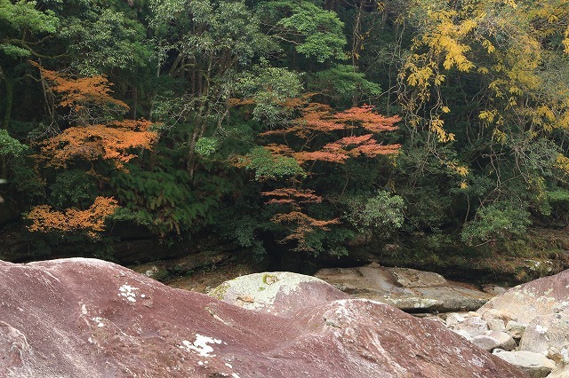 e0321325_15110208.jpg