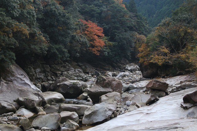 e0321325_15114599.jpg