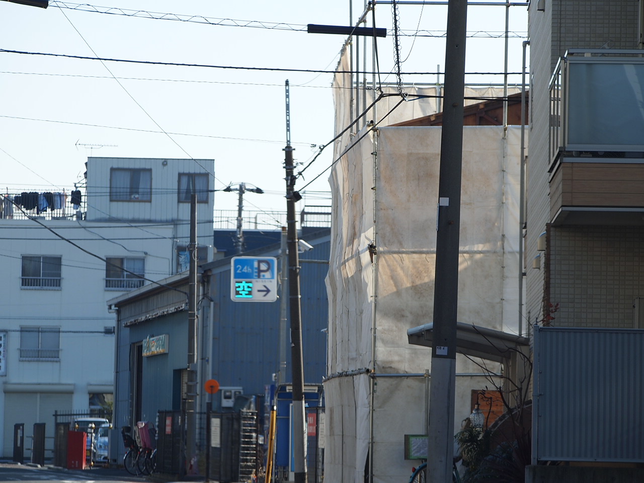 「スズメ」に見惚れる朝の一瞬!?_a0214329_9141218.jpg