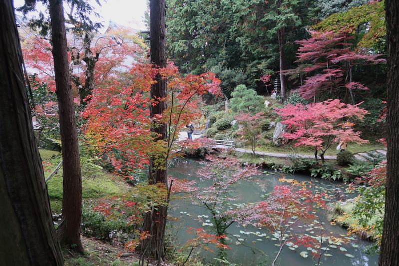 京都への旅～金戒光明寺～_a0253730_2048780.jpg