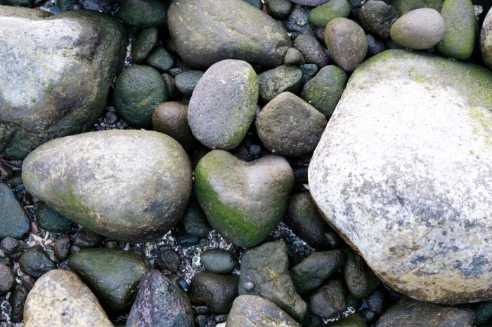 【真鶴半島/三ツ石】_f0348831_20481161.jpg