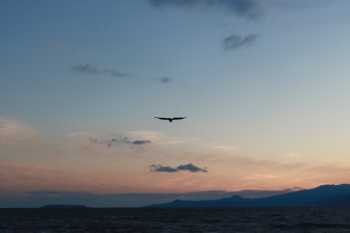 【真鶴半島/三ツ石】_f0348831_20481768.jpg