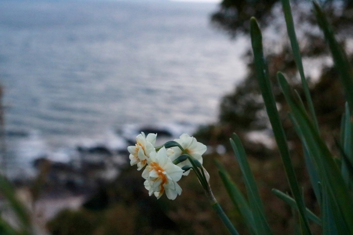 【真鶴半島/三ツ石】_f0348831_20482247.jpg
