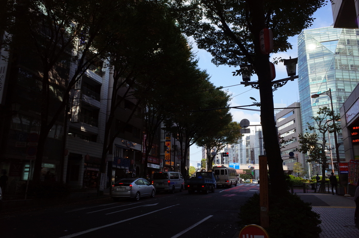 a0287336_0421859.jpg