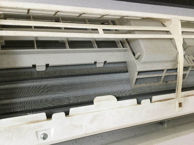 f0031037_20005964.jpg
