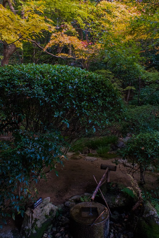 2017京都紅葉~龍安寺_e0363038_9592020.jpg