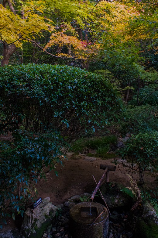 ２０１７京都紅葉～龍安寺_e0363038_9592020.jpg