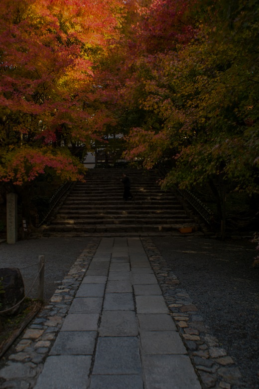 2017京都紅葉~龍安寺_e0363038_9593731.jpg