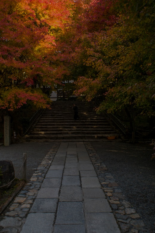 ２０１７京都紅葉～龍安寺_e0363038_9593731.jpg