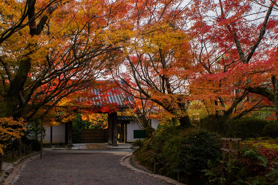 ２０１７京都紅葉～龍安寺_e0363038_959412.jpg