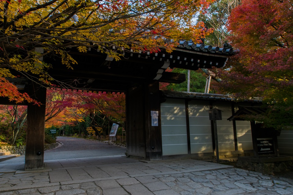 2017京都紅葉~龍安寺_e0363038_9594852.jpg