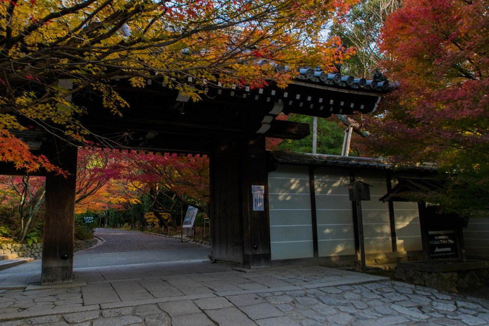 ２０１７京都紅葉～龍安寺_e0363038_9594852.jpg