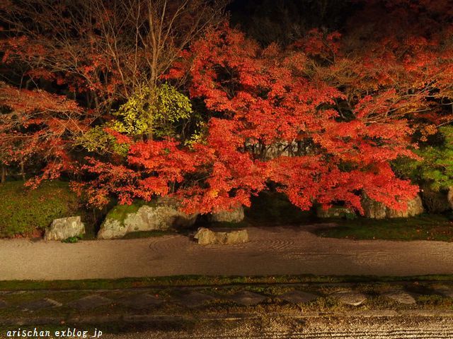 南禅寺塔頭天授庵のライトアップ紅葉＠京都_f0295238_11214690.jpg