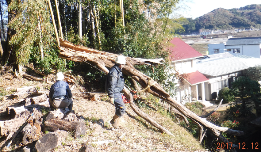 メルマガ：土佐の森林救援隊　（７４２号）_a0051539_19394294.png