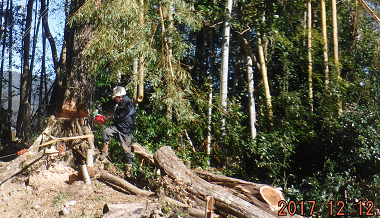 a0051539_19395835.png