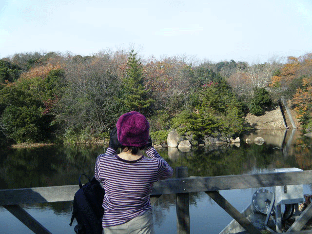 e0371039_11543753.gif