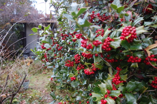 f0375039_11000459.jpeg