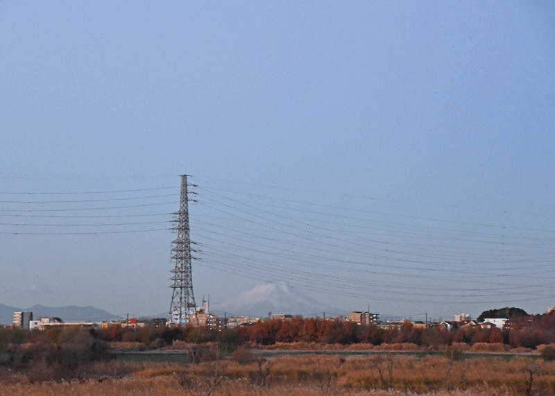 d0290240_14480093.gif