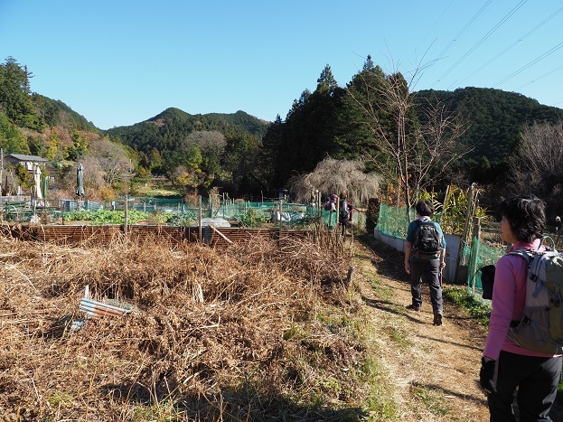 奥武蔵・西川林業地ハイキング_e0272042_20490791.jpg