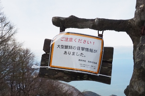 b0189948_13347.jpg