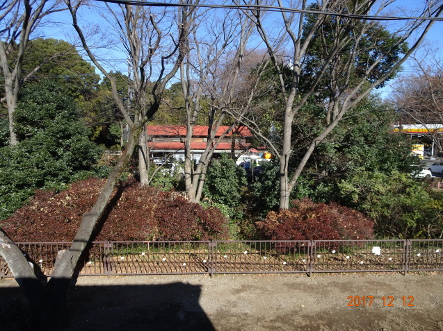 b0152049_10363887.jpg