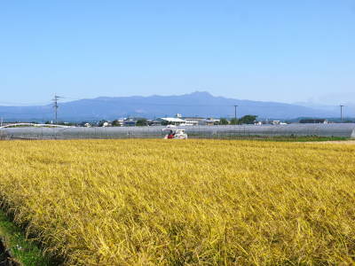 熊本の美味しいお米（七城米、菊池水源棚田米、無農薬砂田のれんげ米）大好評発売中！こだわり紹介　その３_a0254656_17234910.jpg