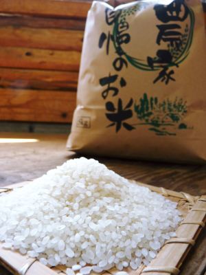熊本の美味しいお米（七城米、菊池水源棚田米、無農薬砂田のれんげ米）大好評発売中！こだわり紹介　その３_a0254656_18293470.jpg