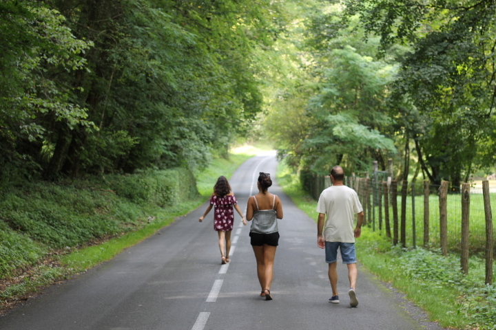 promener プロムネ/ お散歩する_f0136579_02245446.jpg