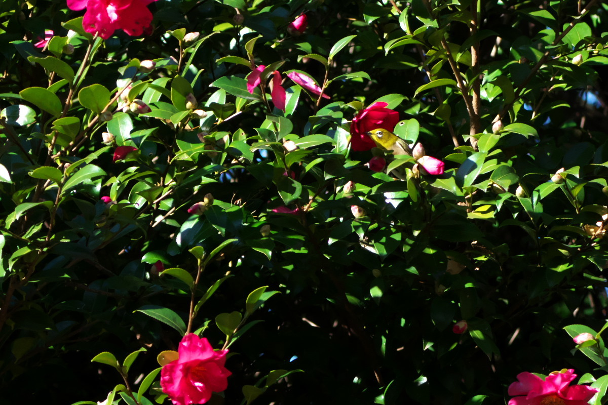 a0083081_15164700.jpg