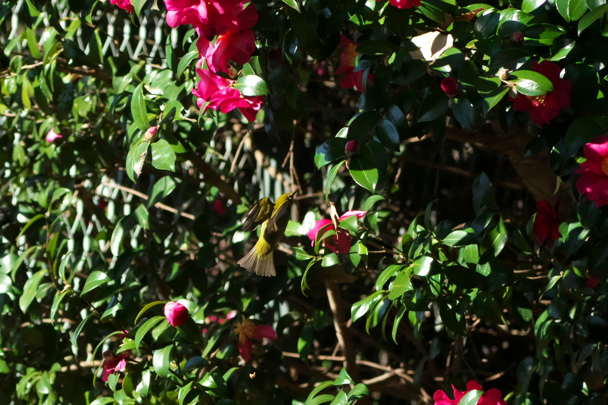 a0083081_15172070.jpg