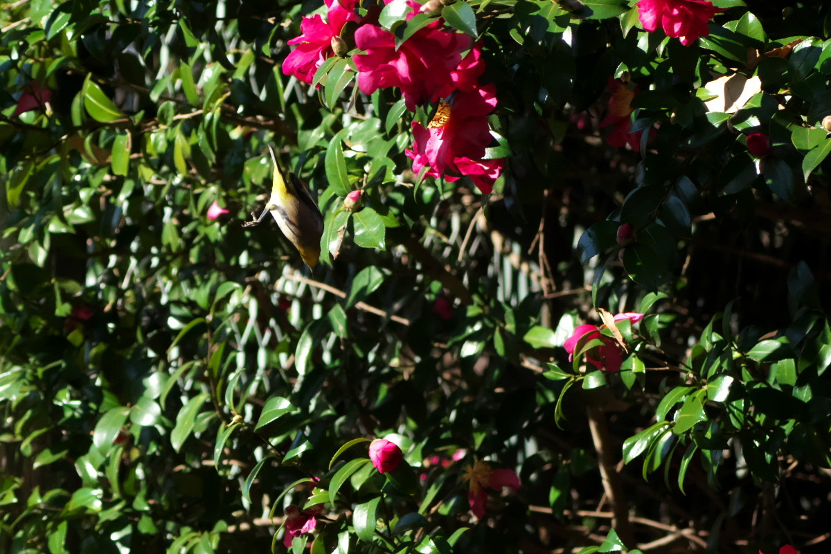 a0083081_15174910.jpg